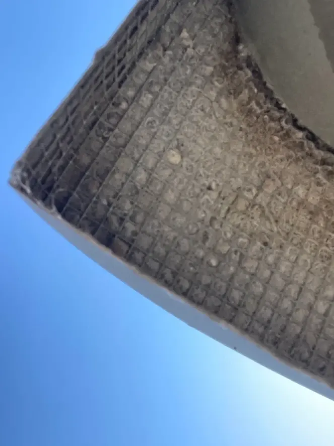 Lint-clogged exterior dryer vent cap screen on an Austin home