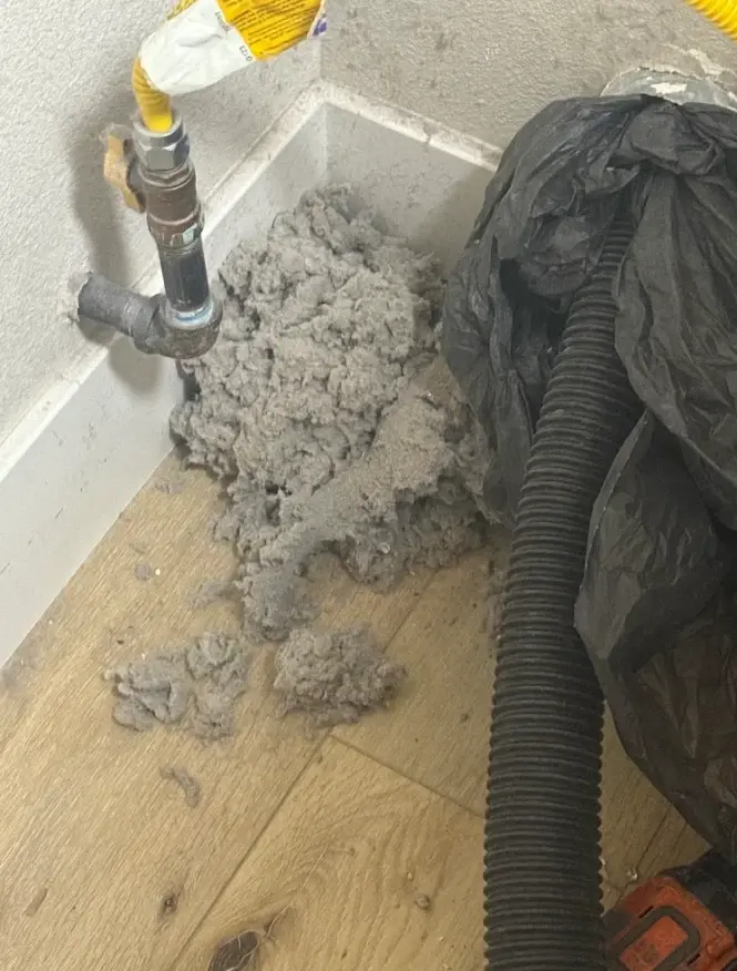 Dryer vent lint removal in Austin: pile of lint pulled from a vent